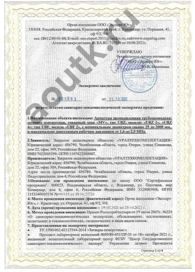 Экспертное заключение 